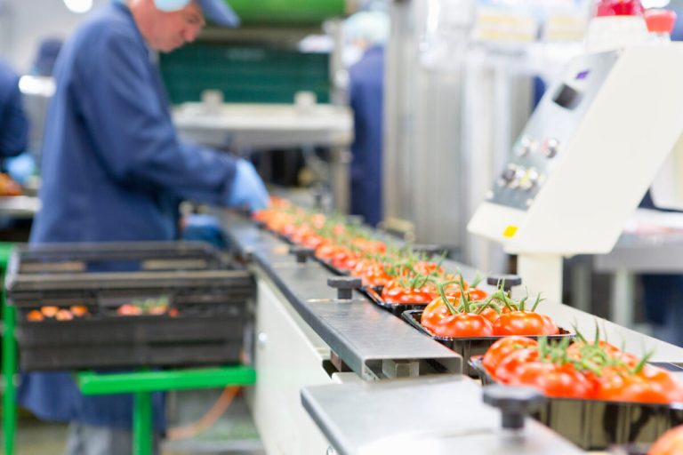 Ultra-Processed Foods Harm Health Even When Nutrients Look Good